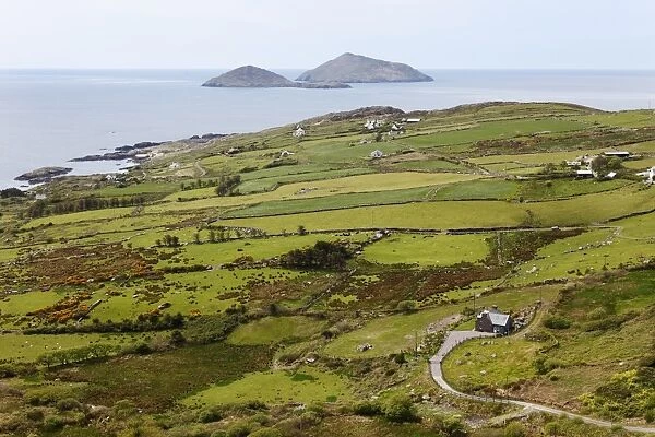 Coastline, Deenish Island and Scariff Island, view from Cahernageeha, Ring of Kerry, County Kerry, Ireland, British Isles, Europe