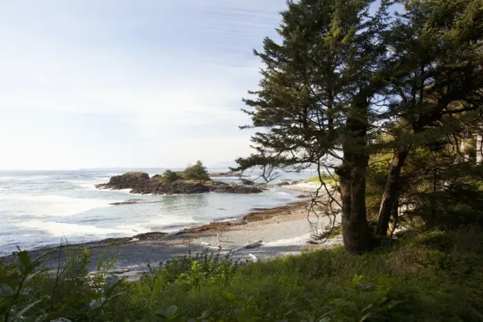 Framed Print : The Coastline Along The Path To South Beach In Pacific Rim National Park Near Tofino; British Columbia Canada