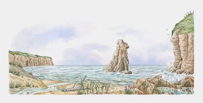 Framed Print : Coastline showing sand dunes, rock stack, saltmarsh flowers, tide pools and clifftop turf Framed Print : Coastline showing sand dunes, rock stack, saltmarsh flowers, tide pools and clifftop turf