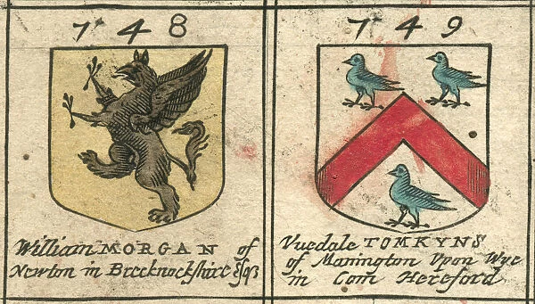 Coat of arms 17th century Morgan and Tomkins