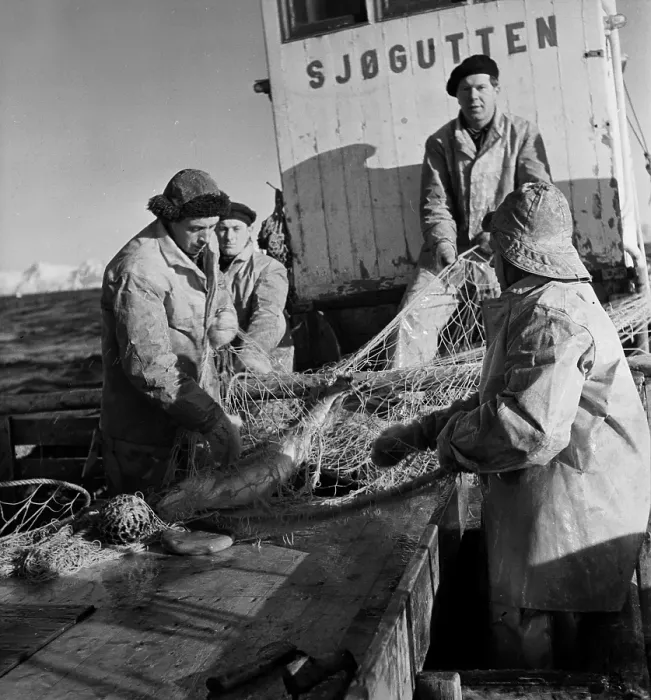 Framed Print : Codfish Trawling