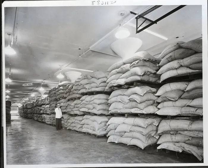 Framed Print : Coffee Beans In Ware House Framed Print : Coffee Beans In Ware House
