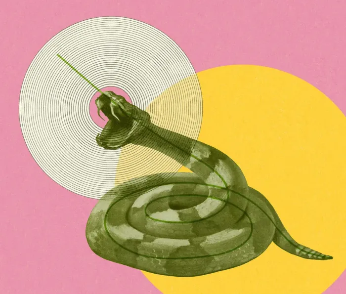 Framed Print : Coiled Snake Framed Print : Coiled Snake