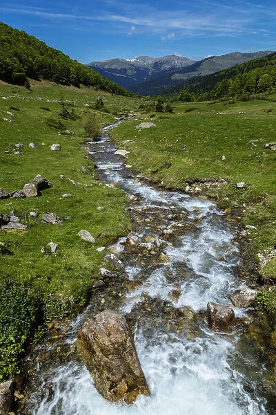 Col de Hourquette d Ancizan, national park of Pyrenees, Hautes Pyrenees, France