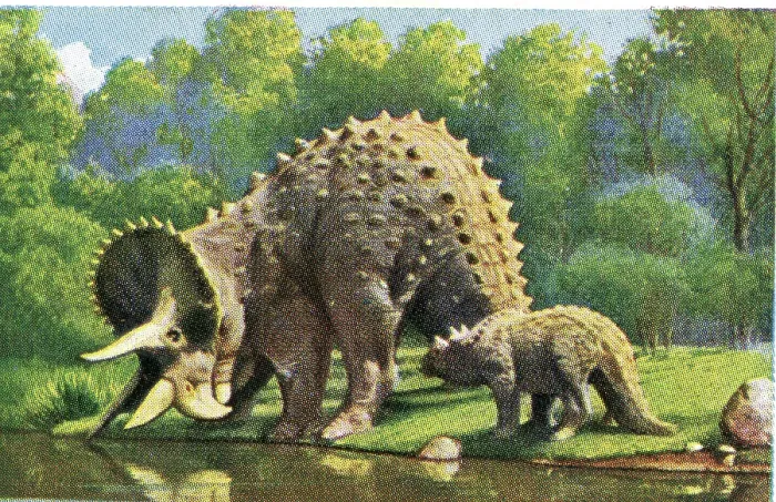 Framed Print : Collectible tobacco card, Triceratops Dinosaur, Germany, Salem Cigarettes, 1927 Framed Print : Collectible tobacco card, Triceratops Dinosaur, Germany, Salem Cigarettes, 1927
