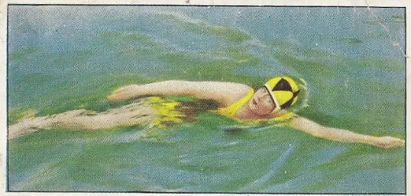 ardath cigarette cards 1937 Ardath Tobacco Print: Female Athlete in Swimming Pool. Art Prints,  Posters & Puzzles from Fine Art Storehouse