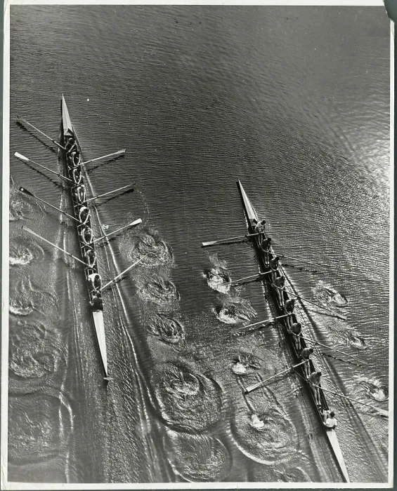 Framed Print : College Rowing Teams in Action