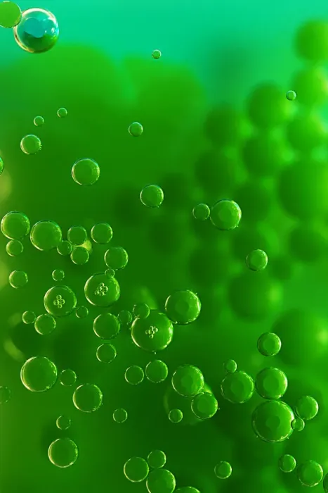 Framed Print : Color Bubbles Framed Print : Color Bubbles