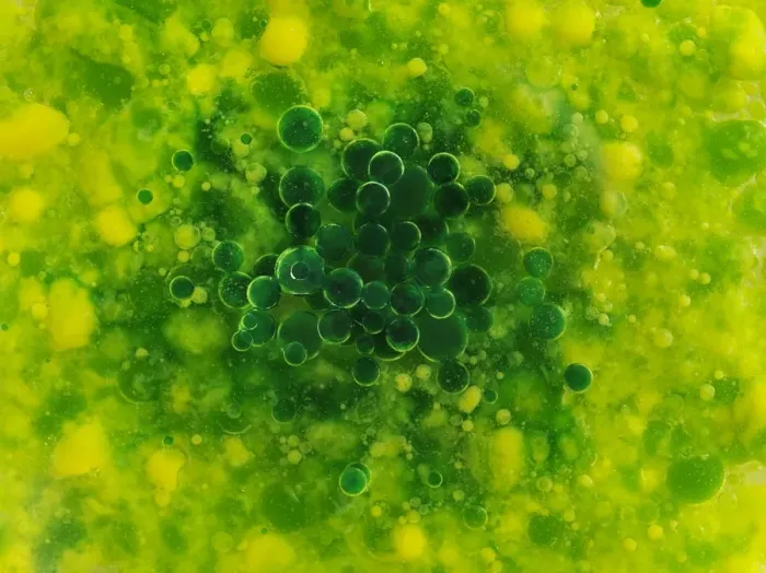 Framed Print : Color Bubbles Framed Print : Color Bubbles