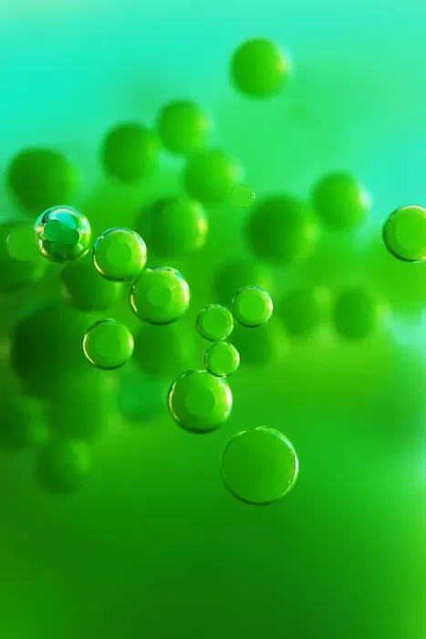 Framed Print : Color Bubbles Framed Print : Color Bubbles