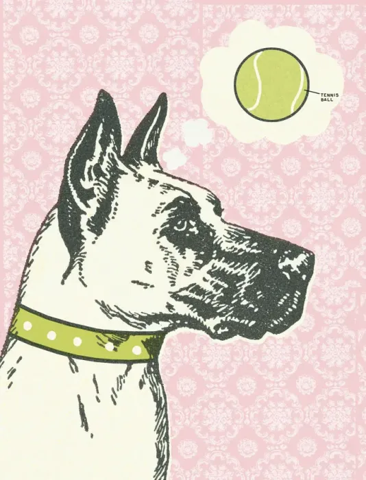 Framed Print : Color Great Dane Profile Framed Print : Color Great Dane Profile