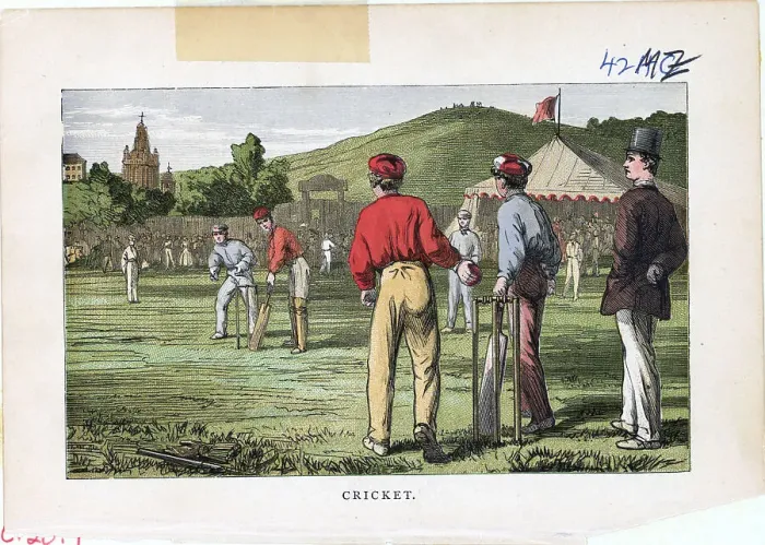 Framed Print : Color Illust / Cricket Match Framed Print : Color Illust / Cricket Match