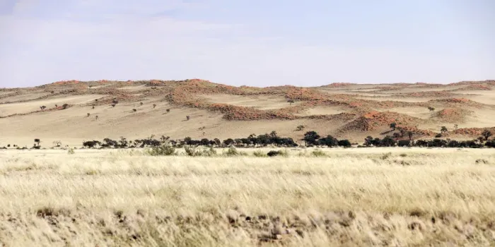 Framed Print : color image, colour image, day, daytime, desert, field, hill, horizon over land, horizontal Framed Print : color image, colour image, day, daytime, desert, field, hill, horizon over land, horizontal