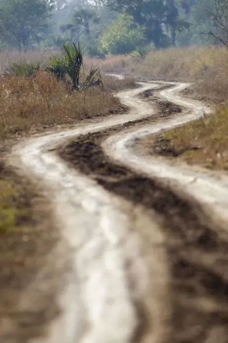 Framed Print : color image, day, dirt, dirt road, gorongosa national park, landscape, manica province Framed Print : color image, day, dirt, dirt road, gorongosa national park, landscape, manica province