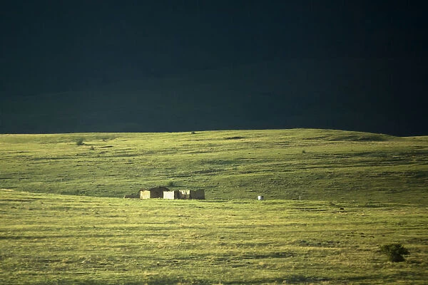 color image, day, grass, house, landscape, meadow, moody sky, no people, orange free state