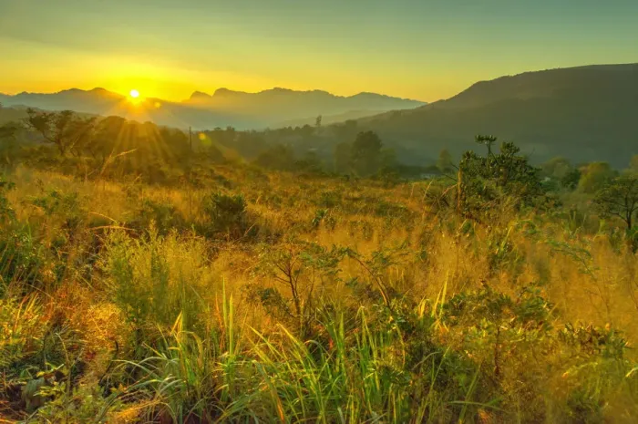 Framed Print : Color Image, Photography, No People, Horizontal, Outdoors, Sunset, Lens Flare, Horizon Over Land Framed Print : Color Image, Photography, No People, Horizontal, Outdoors, Sunset, Lens Flare, Horizon Over Land