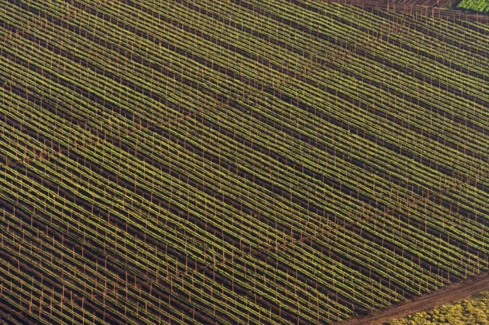 Framed Print : Color Image, Photography, No People, Horizontal, Outdoors, Day, Aerial View, Agriculture