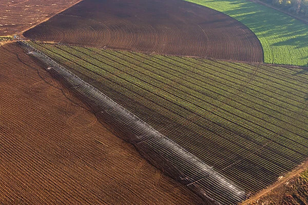 Color Image, Photography, No People, Horizontal, Outdoors, Day, Aerial View, Agriculture