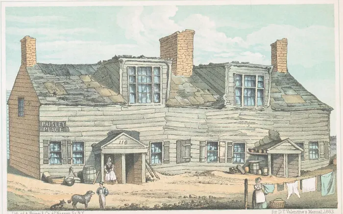 Framed Print : Color Lithograph Depicting Paisley Place Neighborhood in New York Framed Print : Color Lithograph Depicting Paisley Place Neighborhood in New York