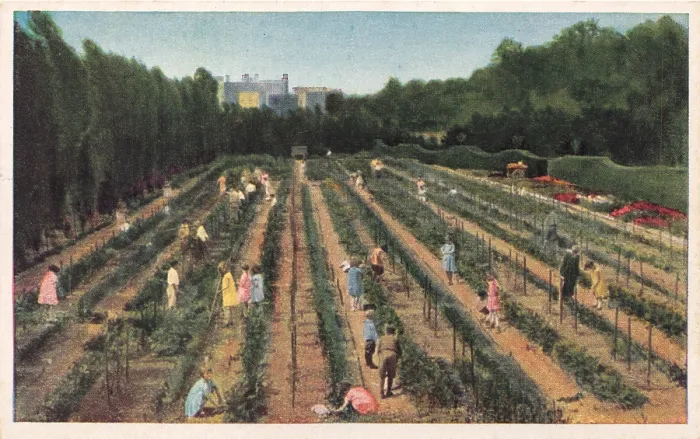Framed Print : Color postcard of the Children's Farm Garden in the Brooklyn Botanical Gardens, New York, circa 1920