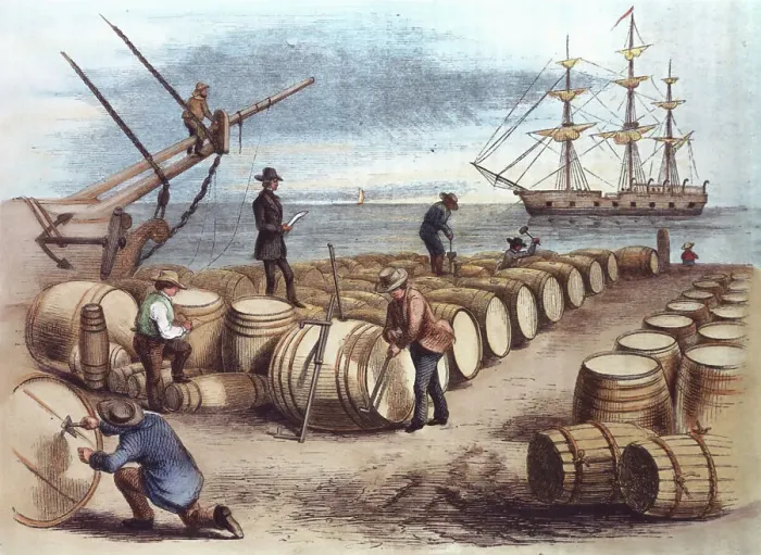 Framed Print : Color Print of Wharf Workers Measuring Whale Oil Content in Barrels Framed Print : Color Print of Wharf Workers Measuring Whale Oil Content in Barrels