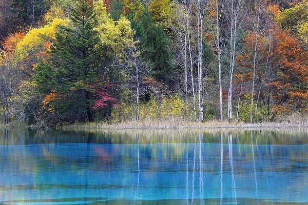 Colorful forest at peacock lake in autumn