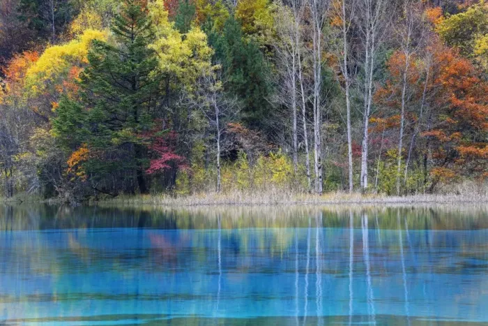 Framed Print : Colorful forest at peacock lake in autumn