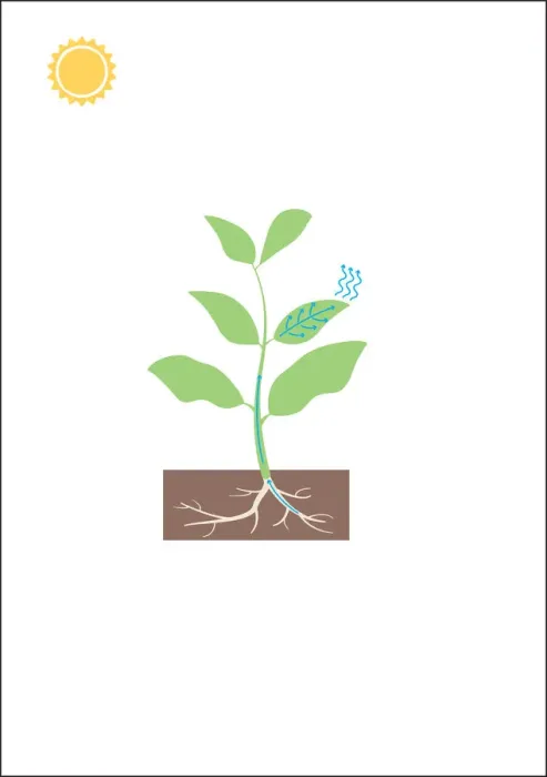 Framed Print : colour, earth, green, nobody, soil Framed Print : colour, earth, green, nobody, soil