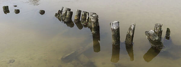 Colour image, Color image, Photography, Horizontal, No people, Wooden pilings, under water