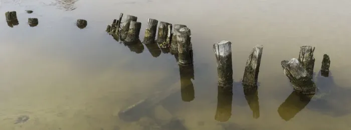 Framed Print : Colour image, Color image, Photography, Horizontal, No people, Wooden pilings, under water Framed Print : Colour image, Color image, Photography, Horizontal, No people, Wooden pilings, under water