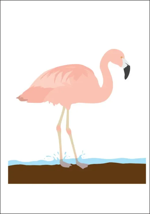 Framed Print : colour, nobody, pink, wildlife Framed Print : colour, nobody, pink, wildlife