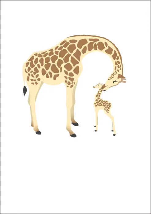 Framed Print : colour, nobody, wildlife Framed Print : colour, nobody, wildlife