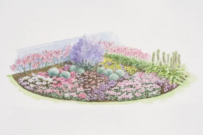 Framed Print : Colourful autumn bulb border, planting plan in top right-hand corner Framed Print : Colourful autumn bulb border, planting plan in top right-hand corner