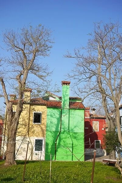 Colourful backyard houses