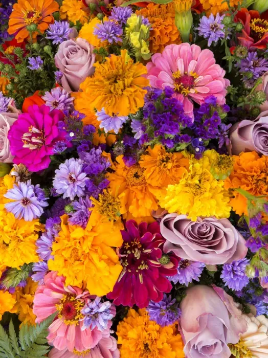 Framed Print : A colourful bouquet Framed Print : A colourful bouquet