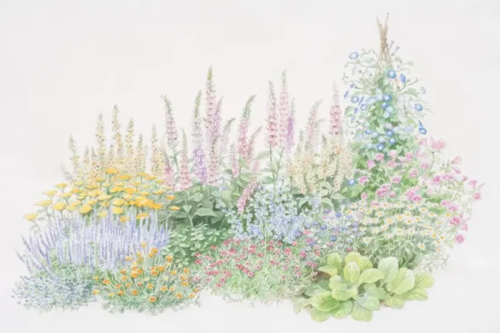 Framed Print : Colourful flower bed