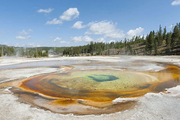 Colourful hot spring, Chromatic Spring, Upper Geyser Basin, Yellowstone National Park, Wyoming, Western United States, USA, United States of America, North America