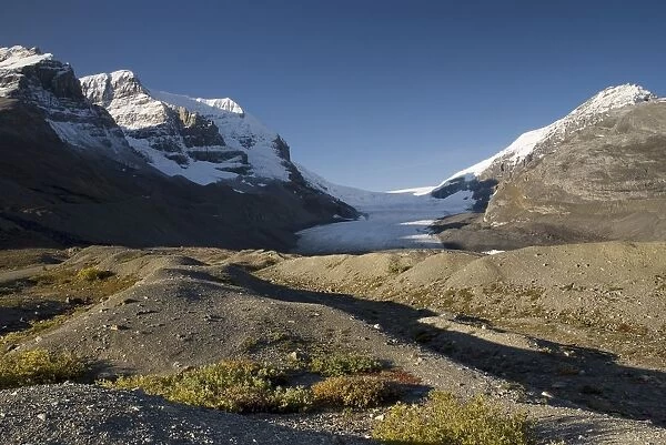 Columbia Icefield, Mount Athabasca, Mount Andromeda, Jasper National Park, Alberta, Canada