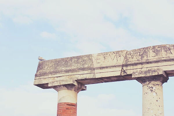 Column. Roman Forum. Pompeii. Naples