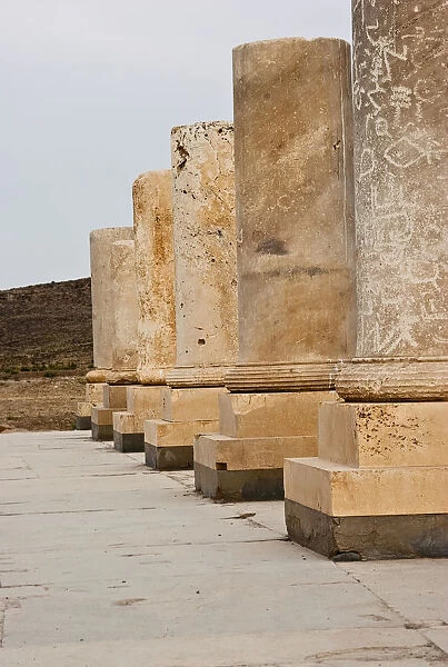 Columns. Remnant of an Ancient Persian Palace (500 BC) at Passargad complex