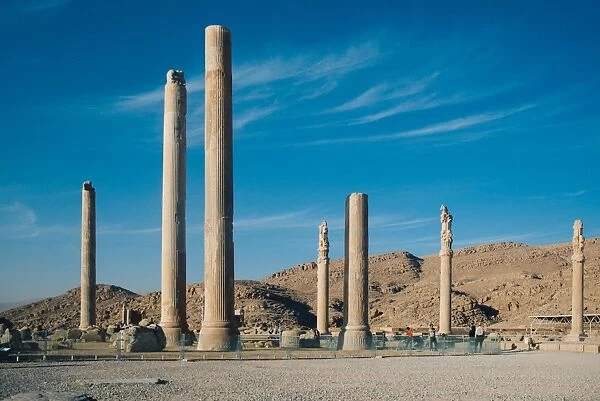 Columns. View of Persepolis