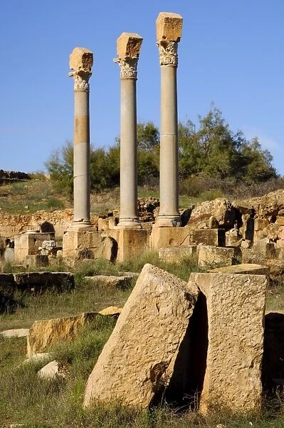 Columns with corinthian capital, Ruins of the Roman City Leptis Magna, Libya