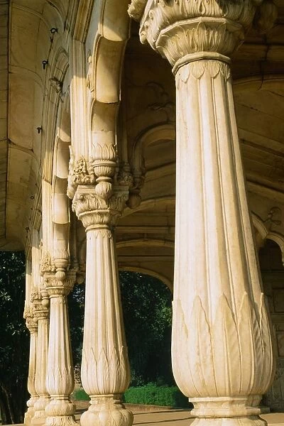 Columns in the Red Fort, Delhi, India