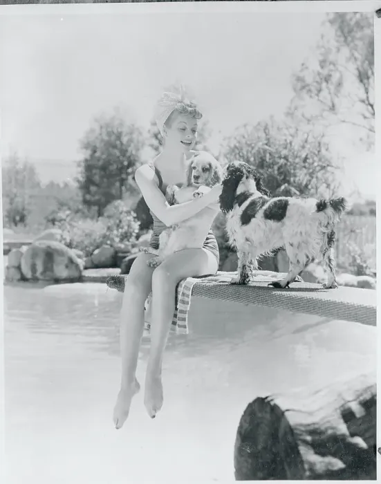 Framed Print : Comedienne Lucille Ball Playing with Dogs at Poolside Framed Print : Comedienne Lucille Ball Playing with Dogs at Poolside