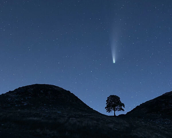 Comet Neowise Over Sycamore Gap (Hadrian's Wall). Northumberland. UK