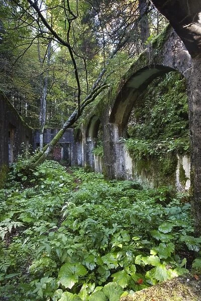 Commando Austriaco, ruined shelter of World War I, Folgaria, province of Trentino, Italy, Europe