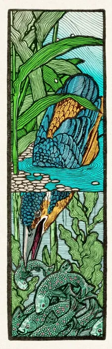 Framed Print : Common kingfisher fishing in river drawing art nouveau 1898 Framed Print : Common kingfisher fishing in river drawing art nouveau 1898