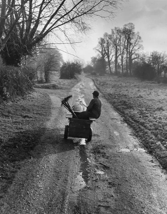 Framed Print : Commuter. Mrs Olive Walker, one of the few woman sweeps in Britain, on her way to work