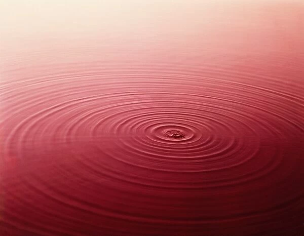 Concentric rings on water
