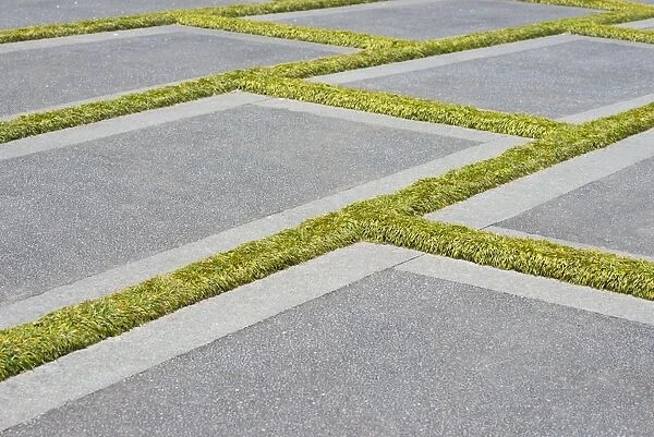 Concrete slabs with grass growing in the gaps